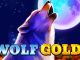 Mengungkap Slot dengan Tema Karakter Seperti Wolf Gold