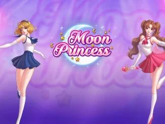 Menyelami Dunia Fantasi: Strategi Bermain Slot "Moon Princess" untuk Kesuksesan