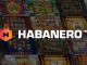 slot habanero - rtpliveinfo