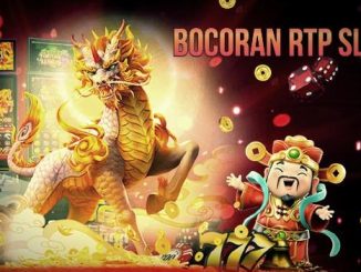 rtp mingguan - rtpliveinfo